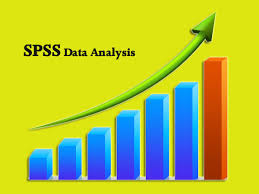 Professional SPSS Data Analysis Assistance