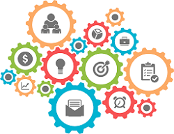 Paid experts who create research design for a dissertation