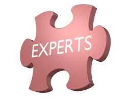 best data analysis experts online