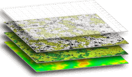 population sampling techniques