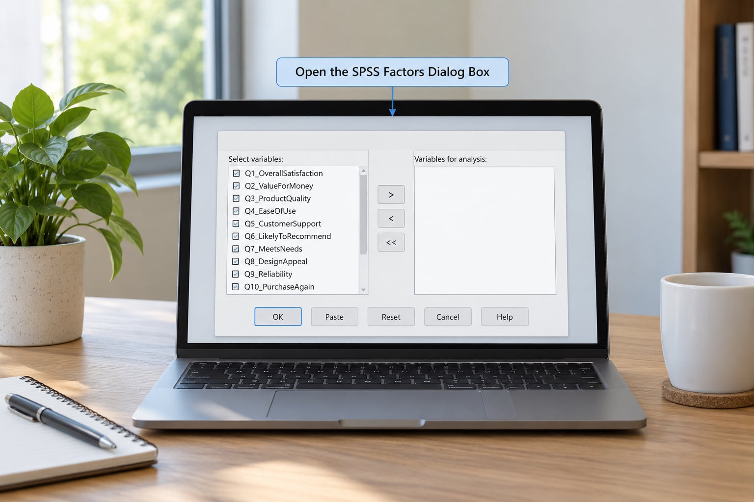 Open the SPSS Factors Dialog Box